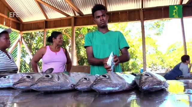 Comunidades indígenas en Honduras diversifican su mercado con sostenibilidad y renovables