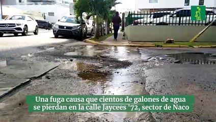 Una fuga causa que cientos de galones de agua se pierdan en la calle Jaycees '72 es esquina Fantino Falco en el sector de Naco