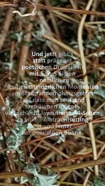 das 'Journal um acht', knapp vorm Gedichtmischwaldtor, kam mir kurz zuvor