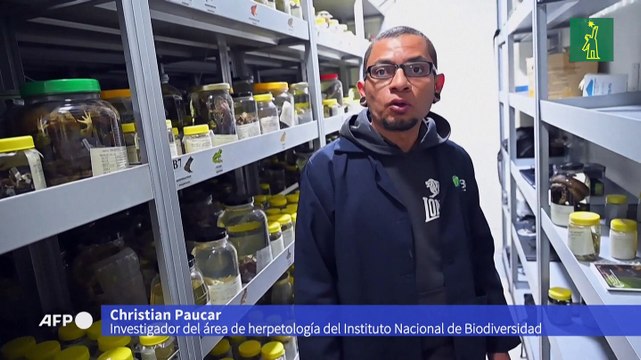 Pequeño bosque de Ecuador compite en diversidad con grandes reservas de la biosfera