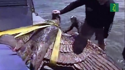 Presidente de Uruguay desiste de convertir águila de acorazado nazi en paloma de la paz