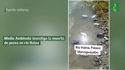 Medio Ambiente investiga la muerte de peces en río Haina