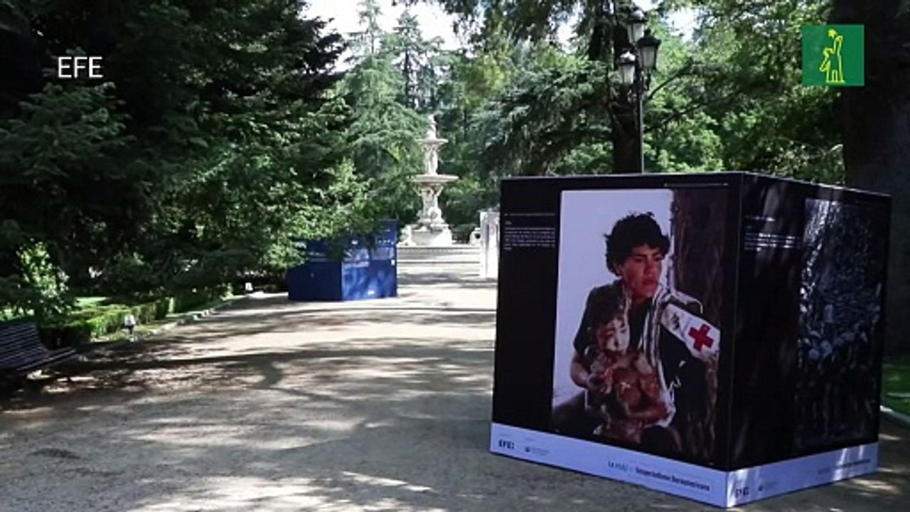 Los premios de fotoperiodismo de 40 años, reunidos por EFE