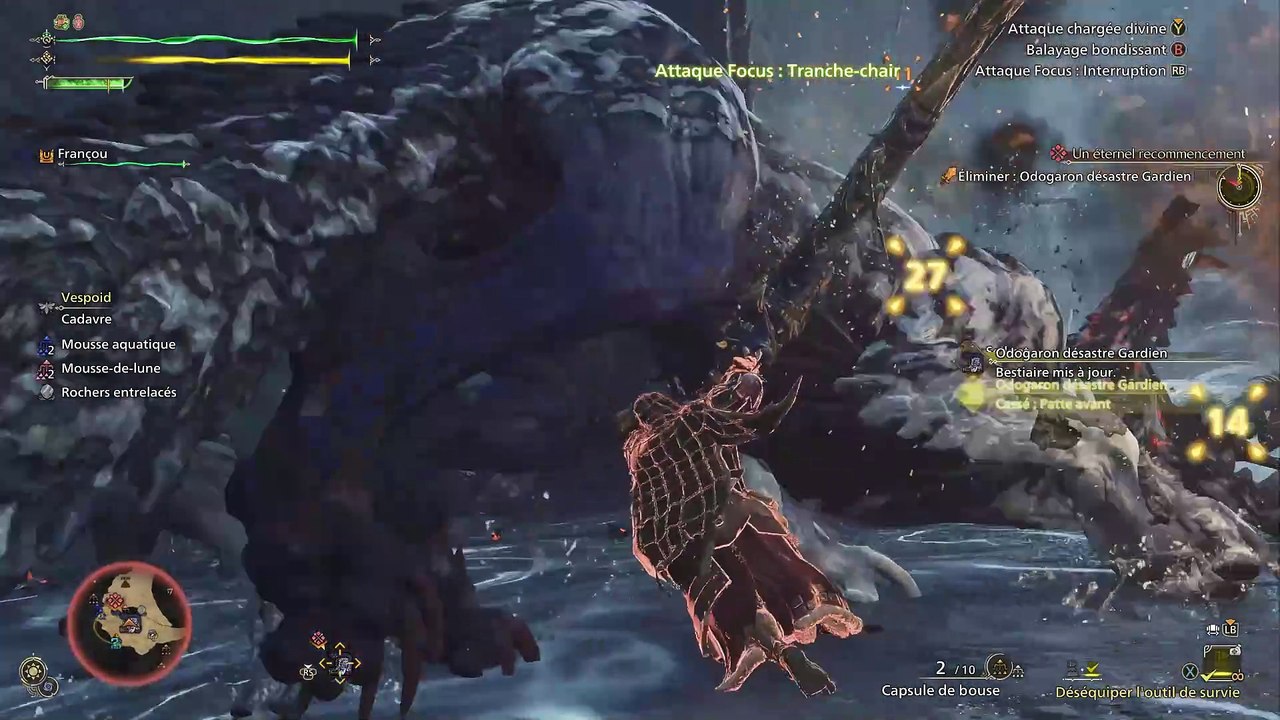 Odogaron désastre gardien