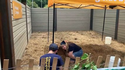 38 años al servicio de los migrantes, la salud, medioambiente y la educación