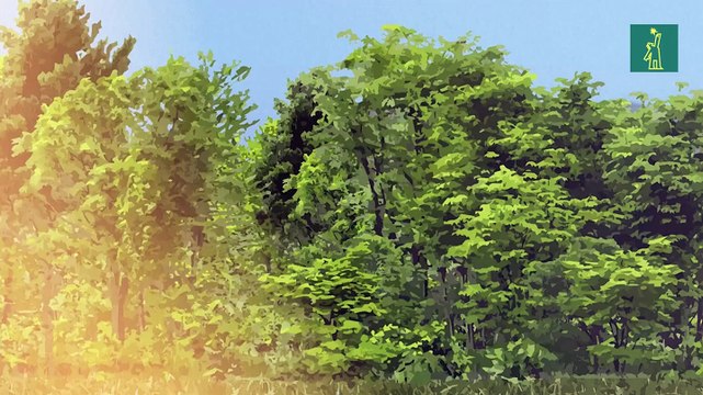 Reducir las emisiones de gases de efecto invernadero no será suficiente para limitar el aumento de las temperaturas a 1,5°C