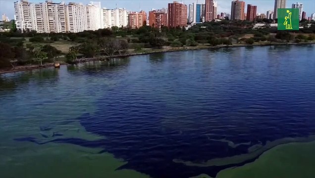 Ambientalistas venezolanos denuncian emergencia por derrames de petróleo en lago de Maracaibo