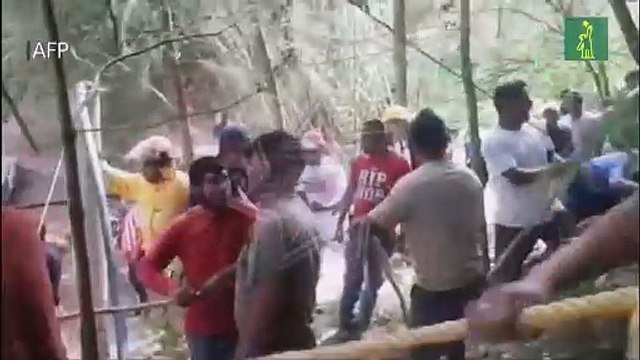Decenas de muertos al caer autobús de pasajeros a un barranco en México