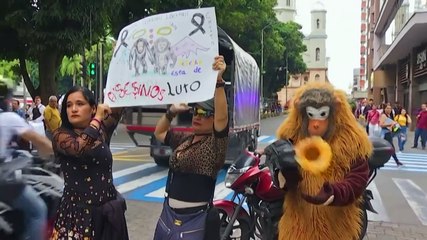 Cientos protestan en Colombia por asesinato de chimpancés