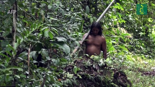 La selva es mi casa , clama indígena que se opone a las petroleras en Ecuador