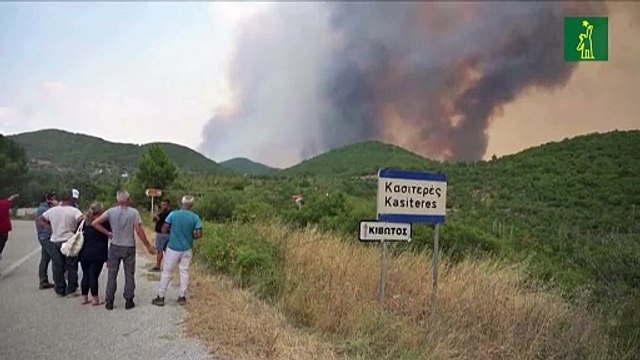 Las olas de calor generan una poción diabólica de contaminantes, alerta la ONU
