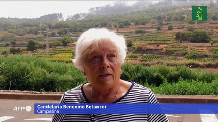 Más de 26.000 evacuados por incendios en isla española de Tenerife