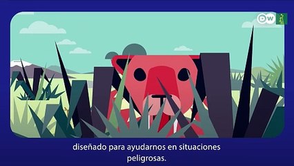 Protégete del estrés, enemigo de tu corazón