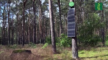 "Narices" electrónicas olfatean incendios forestales en Alemania