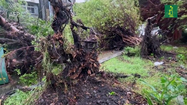 El tifón Haikui toca tierra en Taiwán donde hay miles de evacuados