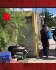 Confiscan mochilas con presunto pesticida en escuela de SFM