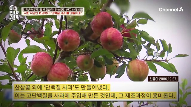 ※특명※ 모든 음식을 '보약화'하라♨ 몸에 좋은 건 무조건 김 씨 일가의 입으로?!