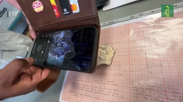 Descubren 11 entierros humanos y 1.000 piezas de cerámica en el centro de México