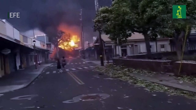 Incendios forestales en Hawái provocan numerosos daños