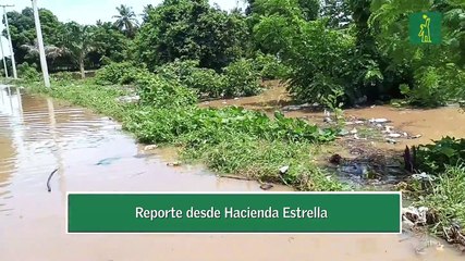 Reporte desde Hacienda estrella