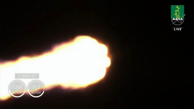 Despega con éxito la misión tripulada Crew-7 de la NASA rumbo a la EEI