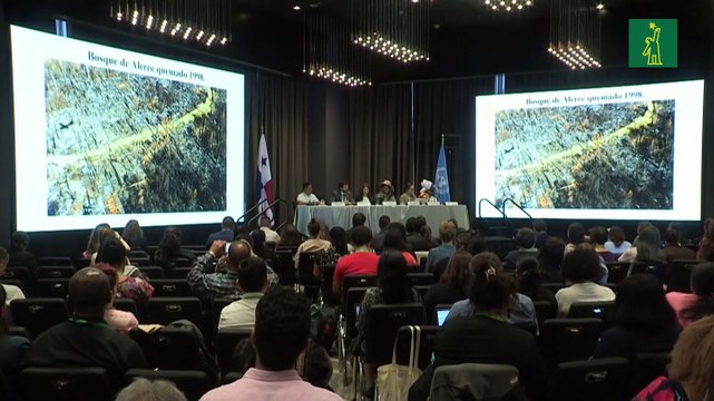 Los defensores ambientales en Latinoamérica están en peligro de extinción