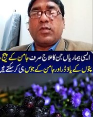 جامن کے بیچ اور جوس سے جو  بیماریاں ختم ہوتی ہیں