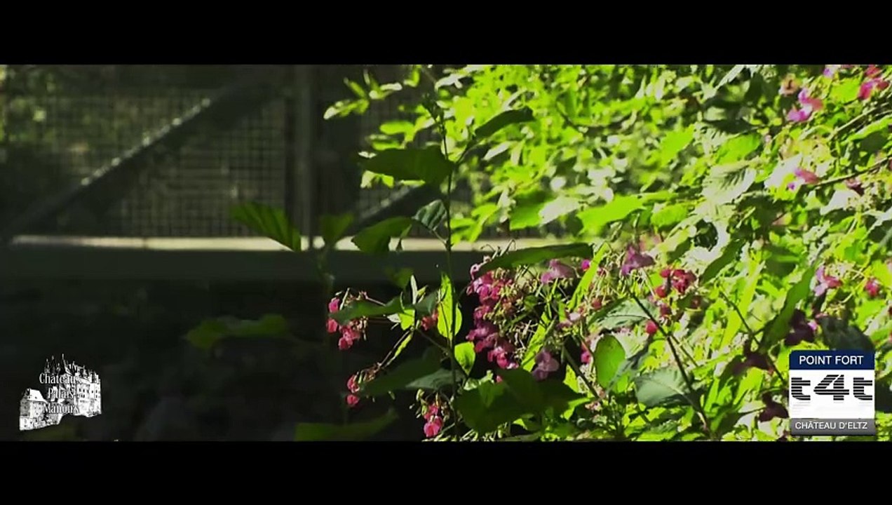 Tips-4-Trips - #Tuyau21 -- Château d'Eltz