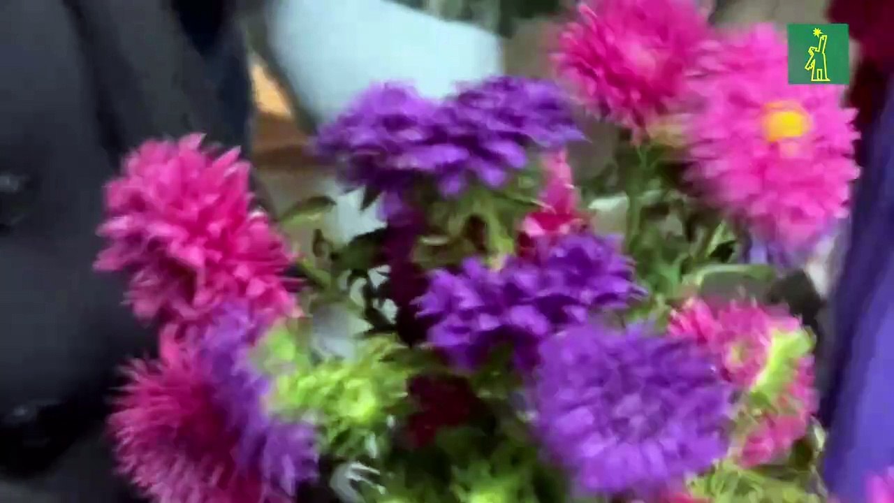 Feministas marchan disfrazadas para denunciar feminicidios en el sureste de México