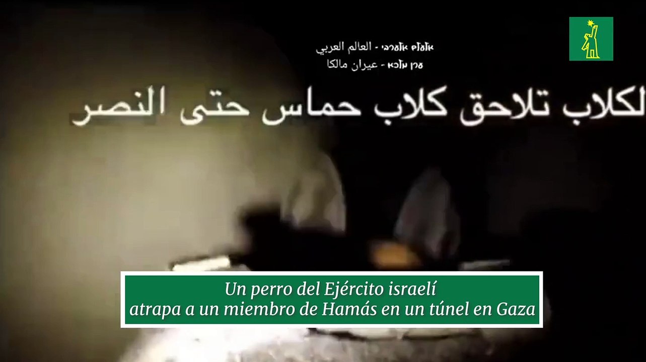 Un perro del Ejército israelí  atrapa a un miembro de Hamás en un túnel en Gaza