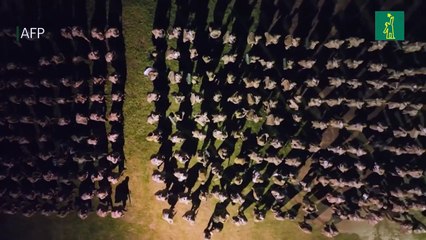 Bukele despliega 4.000 militares y policías en busca de pandilleros en El Salvador