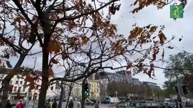 El temporal Ciarán deja 6 muertos, decenas de heridos y numerosos daños en Europa