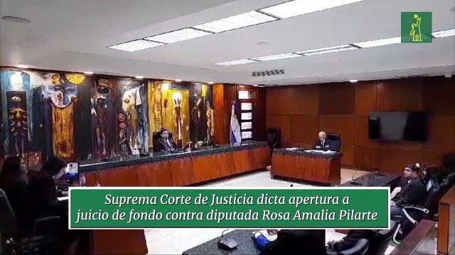 Suprema Corte de Justicia dicta apertura a juicio de fondo contra diputada Rosa Amalia Pilarte