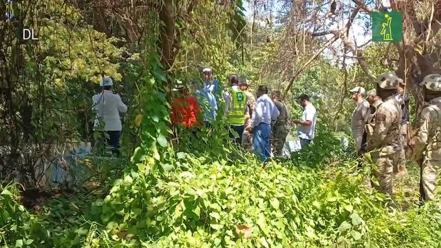 Comisión de la OEA rendirá informe tras recorrido por franja norte de la frontera domínico-haitiana