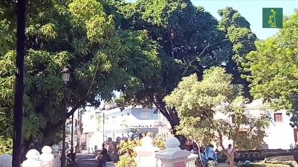 Celebran en Ciudad Colonial el mes de las aves migratoria