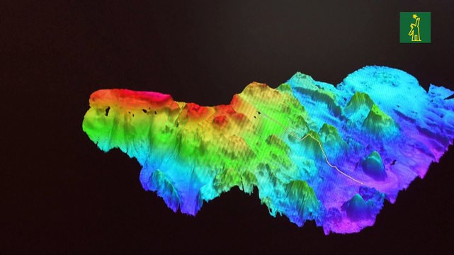 Descubren dos nuevos arrecifes de coral y montes submarinos en Galápagos