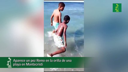 Aparece un pez Remo en la orilla de una playa en Montecristi