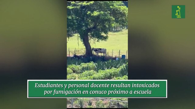 Estudiantes y personal docente resultan intoxicados por fumigación en conuco próximo a escuela
