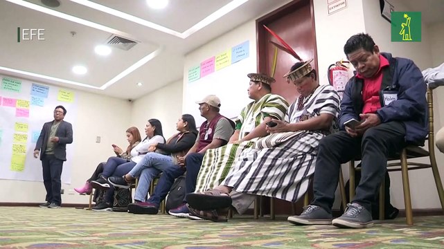 Defensores ambientales de la Amazonía proponen en Lima crear una gran alianza regional