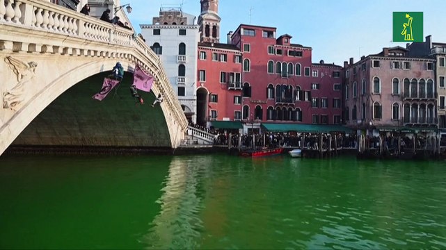 Activistas ambientales tiñen de verde el Gran Canal de Venecia