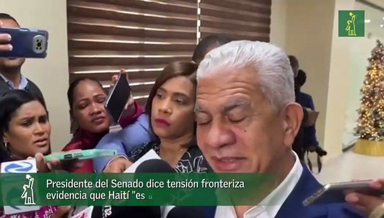 Presidente del Senado dice tensión fronteriza evidencia que Haití "es una selva"