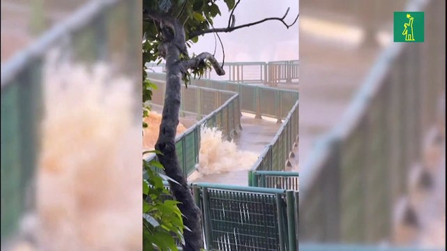 Cataratas del Iguazú registran mayor caudal en casi una década