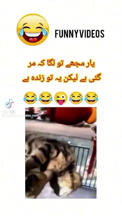 Funny😝😜 video