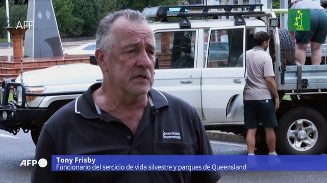 Cientos de evacuados y cocodrilos sueltos por inundaciones en Australia
