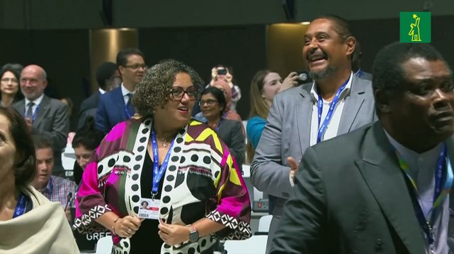 La COP28 aprueba lanzamiento del fondo climático de daños y pérdidas para países vulnerables