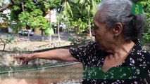 Anciana reclama reconstrucción de pared que destruyeron dragado en Cañada Guajimía