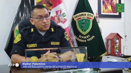 Escuadrón de Papá Noel lanza operativo antidrogas contra "Renos del Mal" en Perú