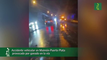 Accidente vehicular en Maimón-Puerto Plata provocado por ganado en la vía
