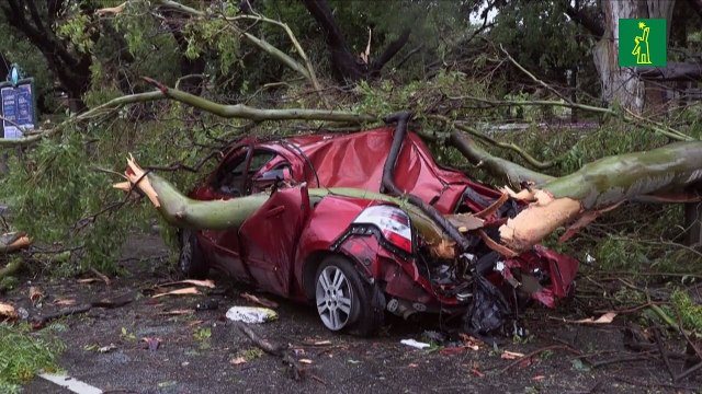 Tormenta con vientos huracanados deja 16 muertos y destrucción en Argentina y Uruguay