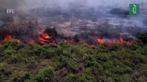 Los incendios forestales en Brasil destruyeron un área del tamaño de Uruguay en 2023